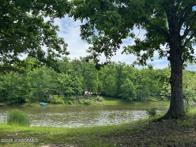6640 Doe Vw, Steedman, MO 65077 - water view featuring a forest