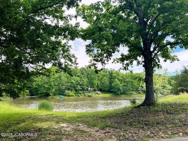 6640 Doe Vw, Steedman, MO 65077 - water view with a heavily wooded area