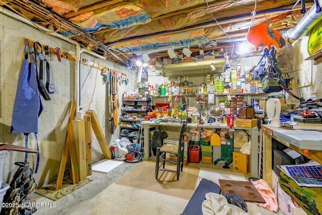 unfinished below grade area with a workshop area