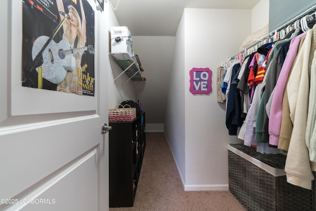 walk in closet featuring carpet floors