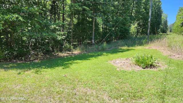 TBD County Road 433, New Bloomfield, MO 65063 - photo 3