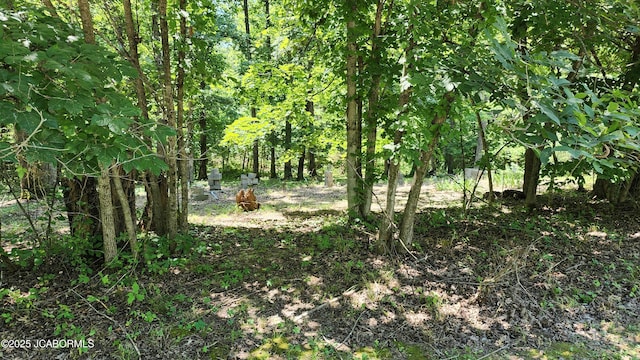 TBD County Road 433, New Bloomfield, MO 65063 - photo 4