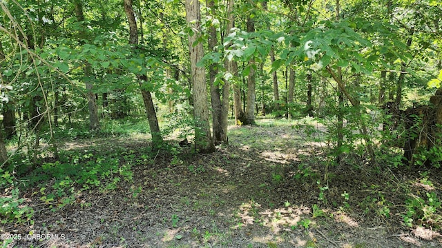TBD County Road 433, New Bloomfield, MO 65063 - photo 5