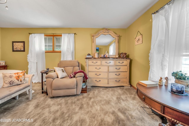 409 Lorene St, California, MO 65018 - sitting room featuring light carpet