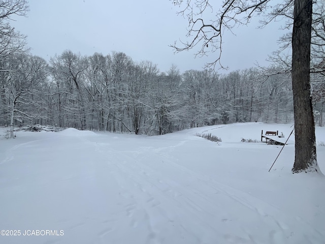 3860 State Road Aa, Tebbetts, MO 65080 - photo 49