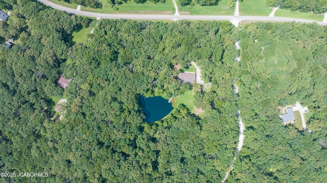 3860 State Road Aa, Tebbetts, MO 65080 - photo 2