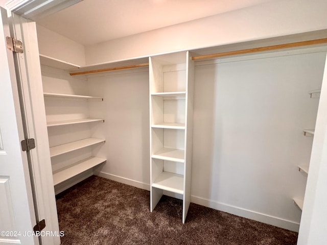 spacious closet with dark colored carpet