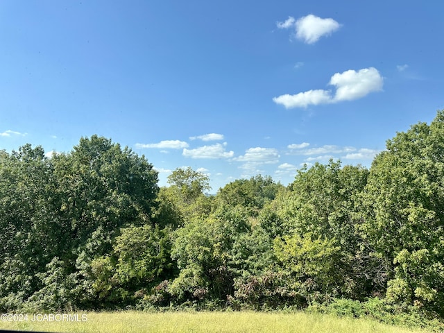 view of nature featuring a wooded view