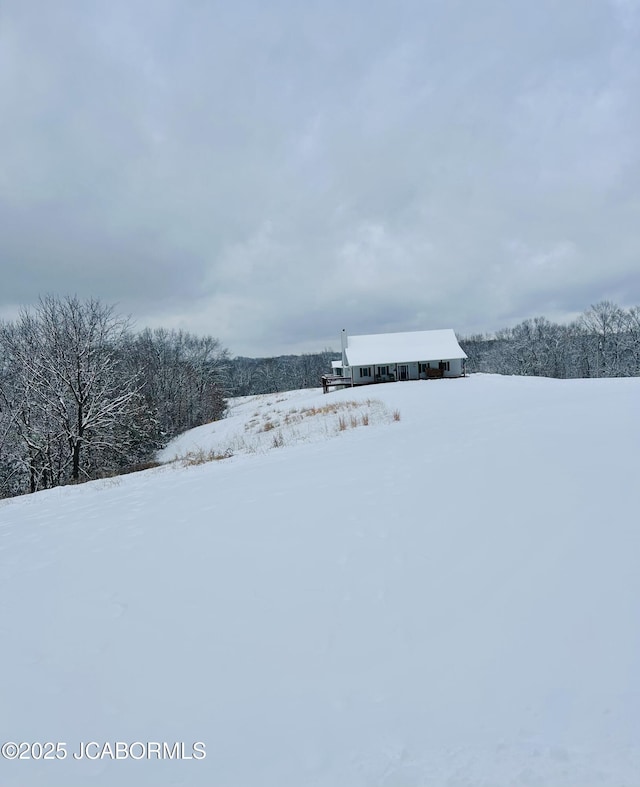 view of yard covered in snow