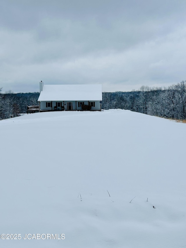 145 W Cedar Tree Ln, Hartsburg, MO 65039 - view of local wilderness