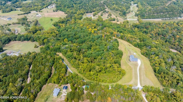 bird's eye view with a forest view