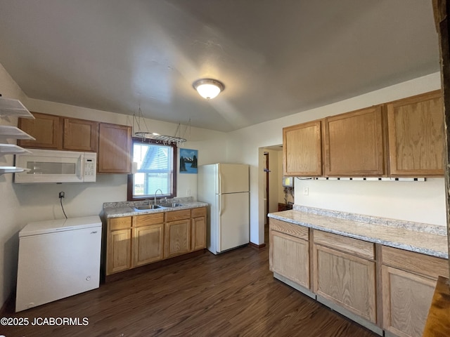 kitchen with sink, dark hardwood / wood-style floors, and white appliances