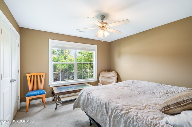 4804 Cedar Coals Ct, Columbia, MO 65203 - photo 20