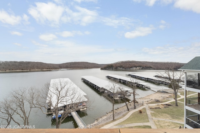 dock area featuring a water view