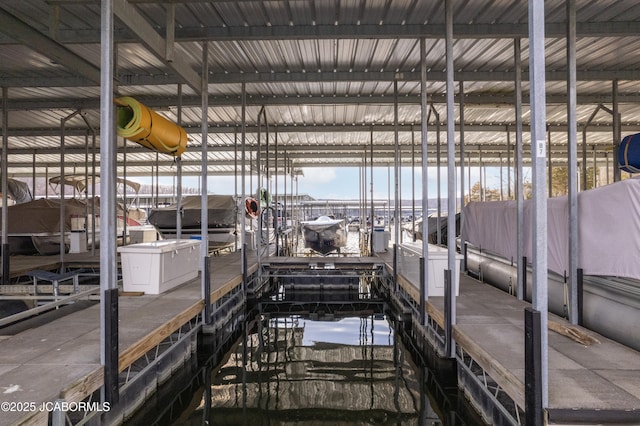 dock area with boat lift