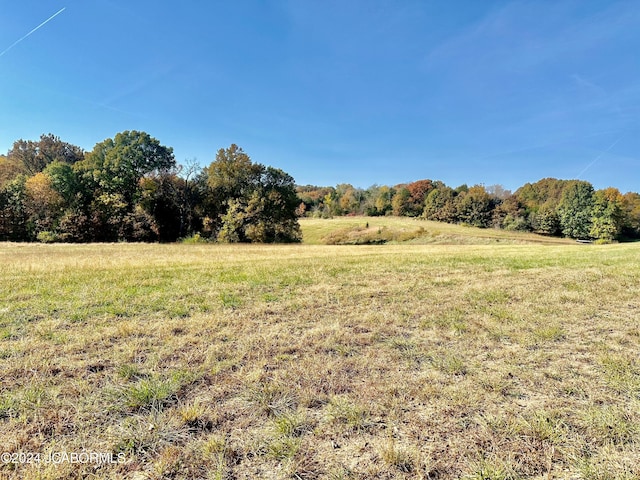 view of yard with a rural view