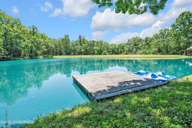 29311 State Highway Pp, California, MO 65018 - dock featuring a forest view and a water view