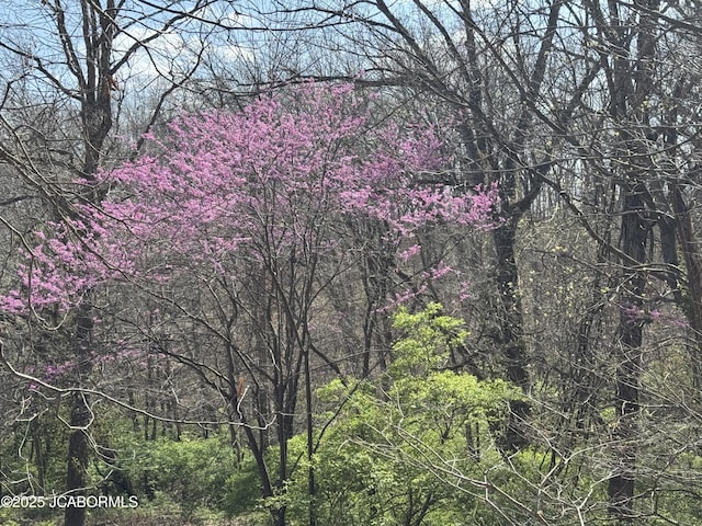 5566 Bonnie Spring Valley Dr, Stover, MO 65078 - view of nature featuring a view of trees