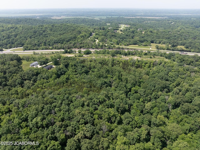 7165 E Hartman Rd, Hartsburg, MO 65039 - bird's eye view of a heavily wooded area