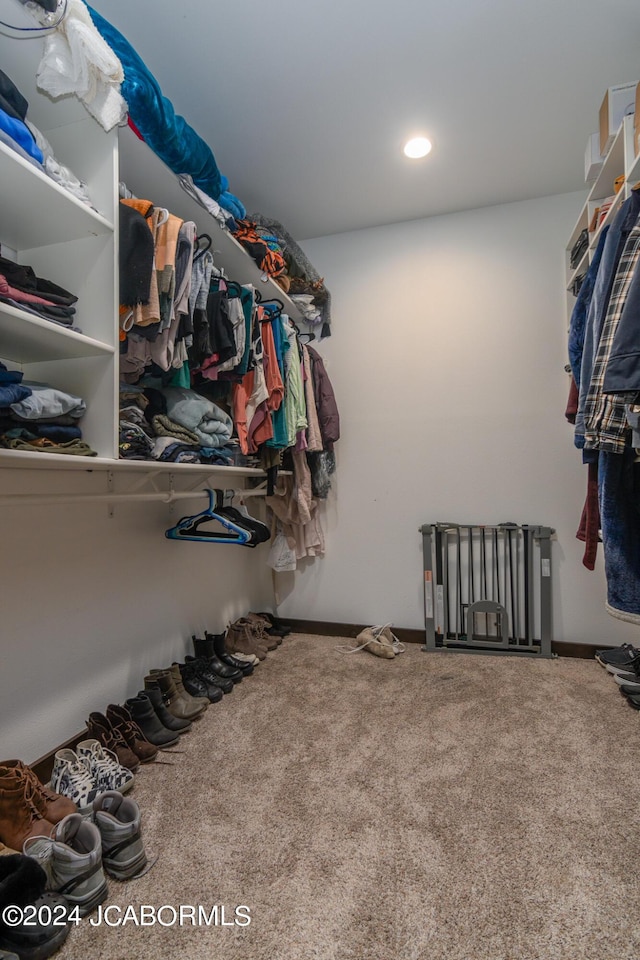 walk in closet with carpet