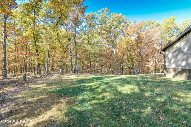 view of yard