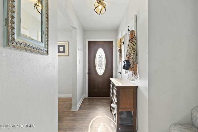 entrance foyer with dark wood-type flooring