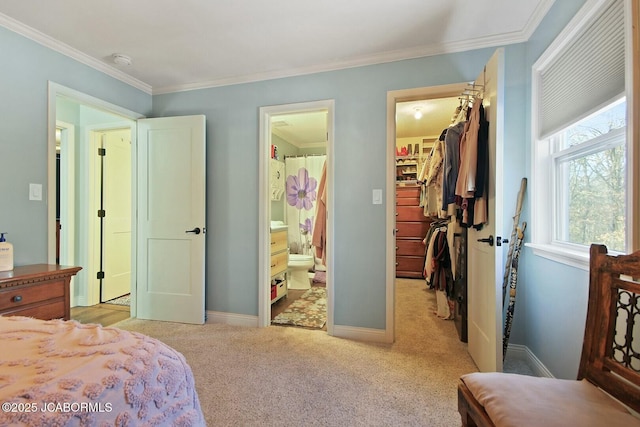 bedroom with a closet, connected bathroom, a walk in closet, ornamental molding, and light carpet