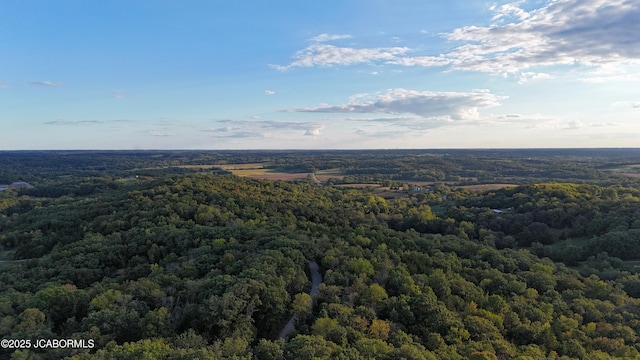 23065 Moniteau Farm Rd, Jamestown, MO 65046 - photo 10