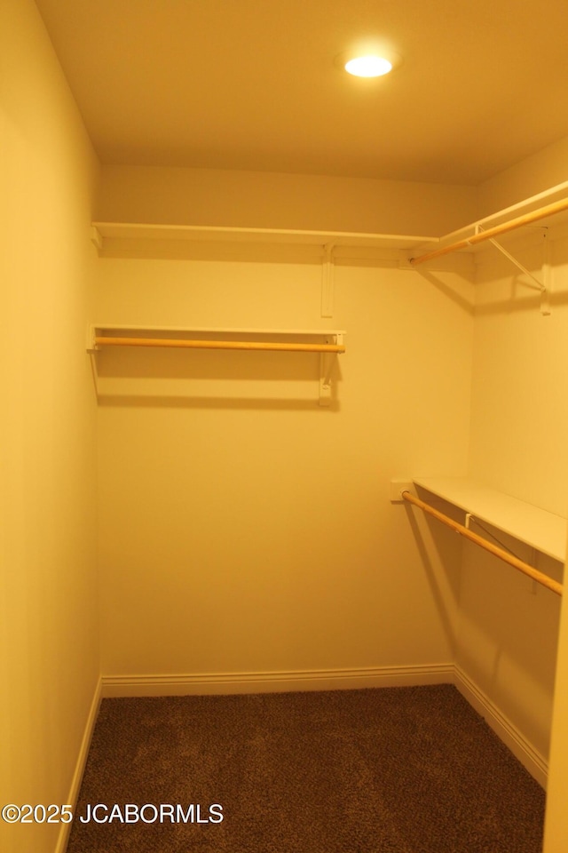 spacious closet featuring carpet flooring