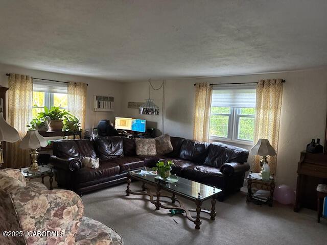 200 Sondra Ave, Columbia, MO 65202 - carpeted living room with plenty of natural light