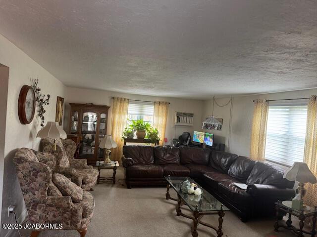 200 Sondra Ave, Columbia, MO 65202 - living room with a textured ceiling and carpet