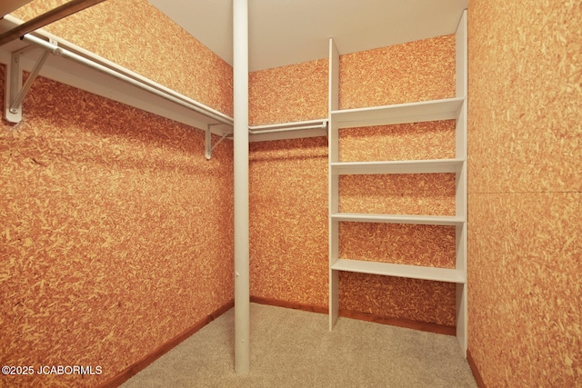 1101 E Maplewood Ct, Jefferson City, MO 65109 - walk in closet with carpet