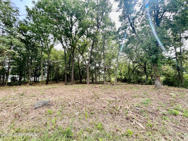 Listing photo 2 for TBD Park Ave, California MO 65018