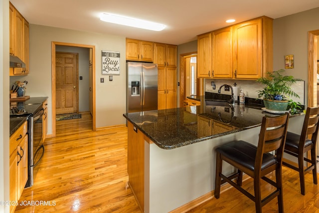 kitchen with light wood-style flooring, under cabinet range hood, a peninsula, a sink, and appliances with stainless steel finishes