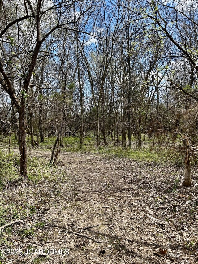 TBD Russellville Rd, California, MO 65018 - photo 15