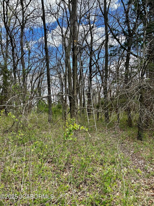 TBD Russellville Rd, California, MO 65018 - photo 20
