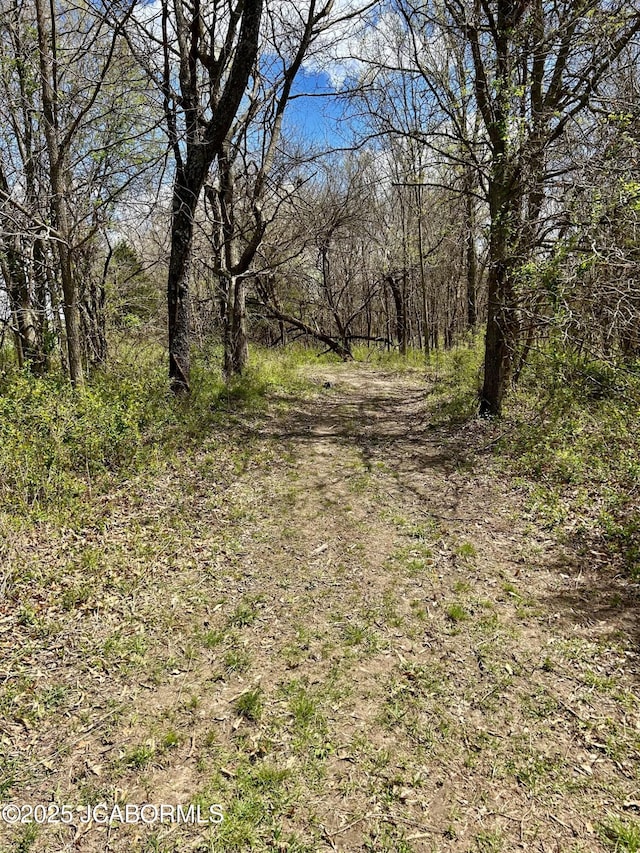 TBD Russellville Rd, California, MO 65018 - photo 19