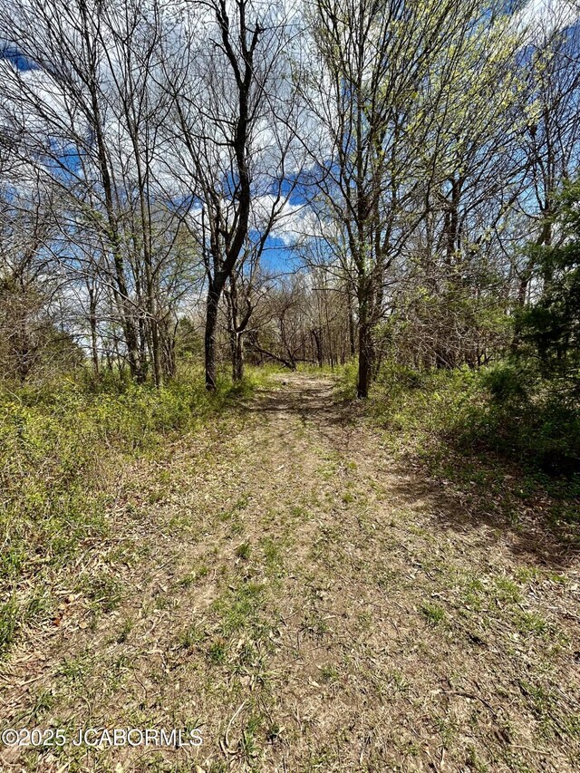 TBD Russellville Rd, California, MO 65018 - photo 18