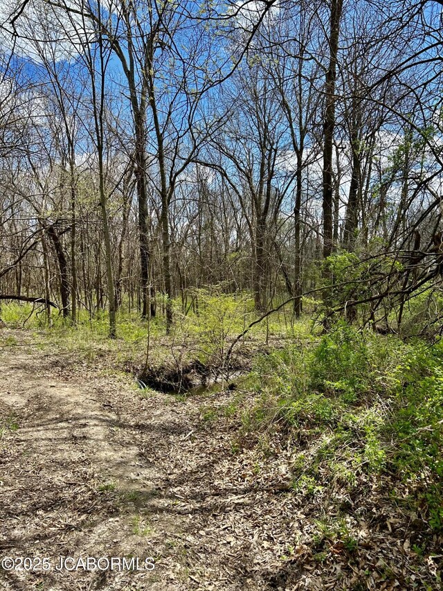 TBD Russellville Rd, California, MO 65018 - photo 17