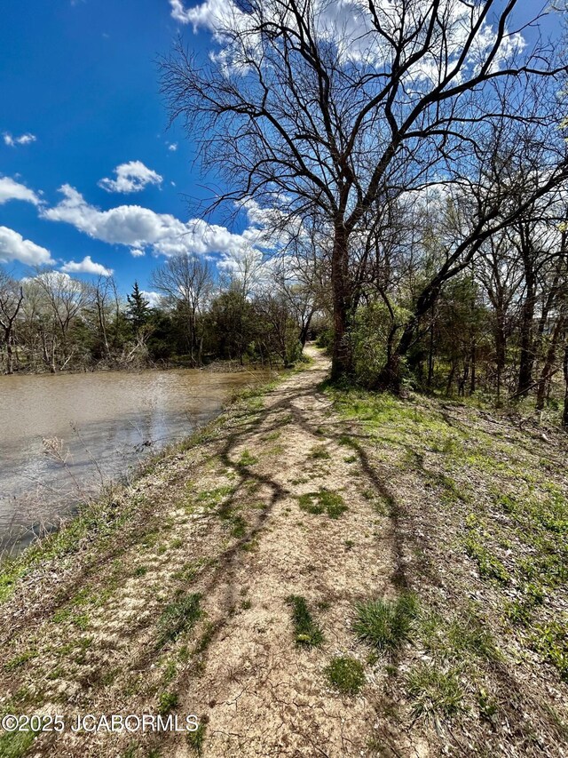 TBD Russellville Rd, California, MO 65018 - photo 4