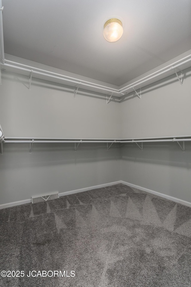 spacious closet featuring carpet