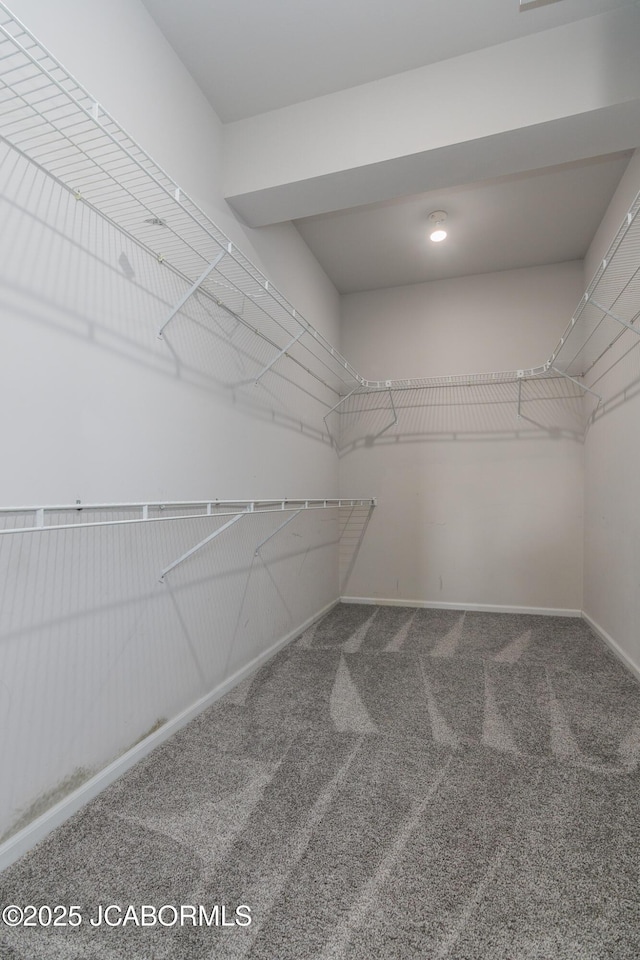 spacious closet with carpet flooring