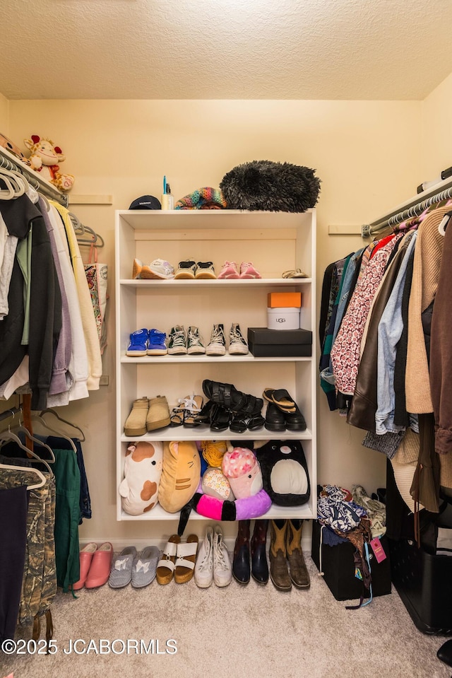 spacious closet featuring carpet flooring