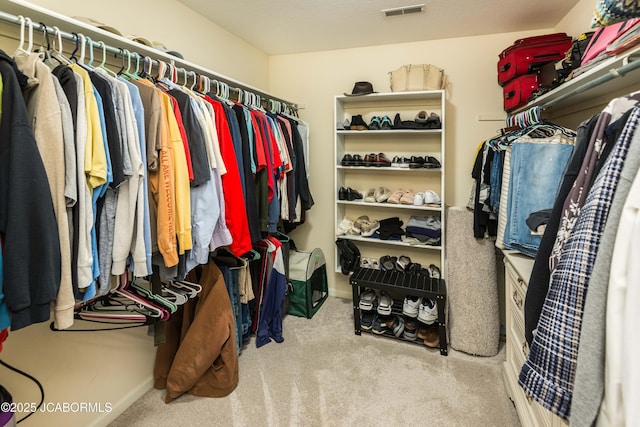 spacious closet with light carpet