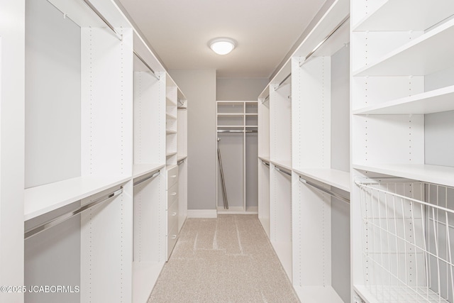 4205 Grant Ln, Columbia, MO 65203 - walk in closet with light colored carpet