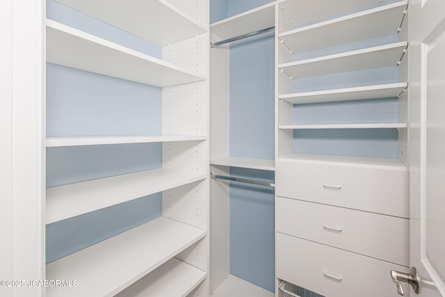4205 Grant Ln, Columbia, MO 65203 - view of spacious closet