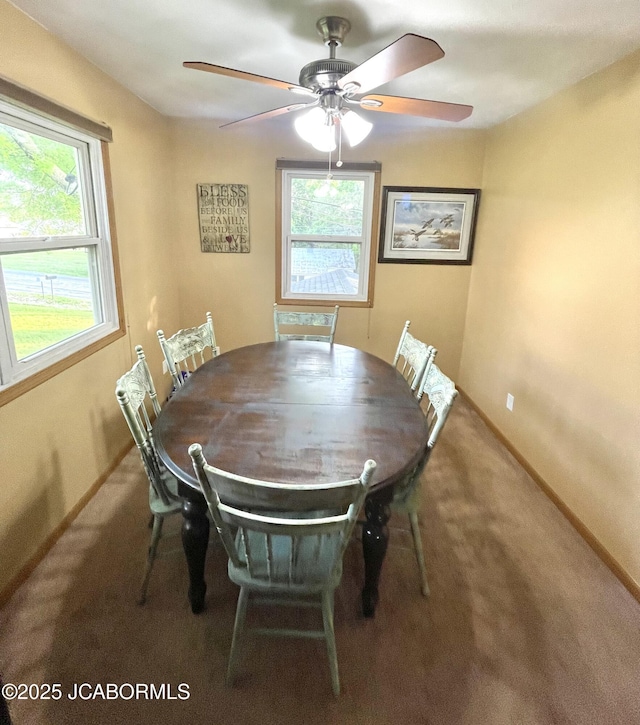 909 E Jefferson St, Linn, MO 65051 - dining room featuring healthy amount of natural light, carpet, a ceiling fan, and baseboards