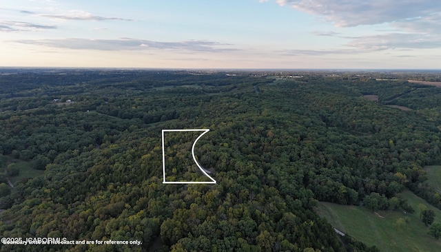 23258 Cedar Ridge Dr, Jamestown, MO 65046 - photo 11