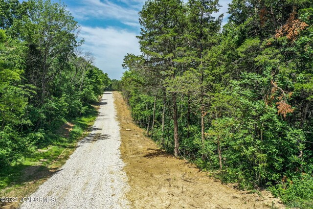 10 The Blfs, Holts Summit, MO 65043 - photo 3