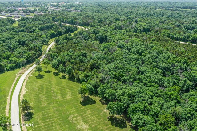 10 The Blfs, Holts Summit, MO 65043 - photo 10